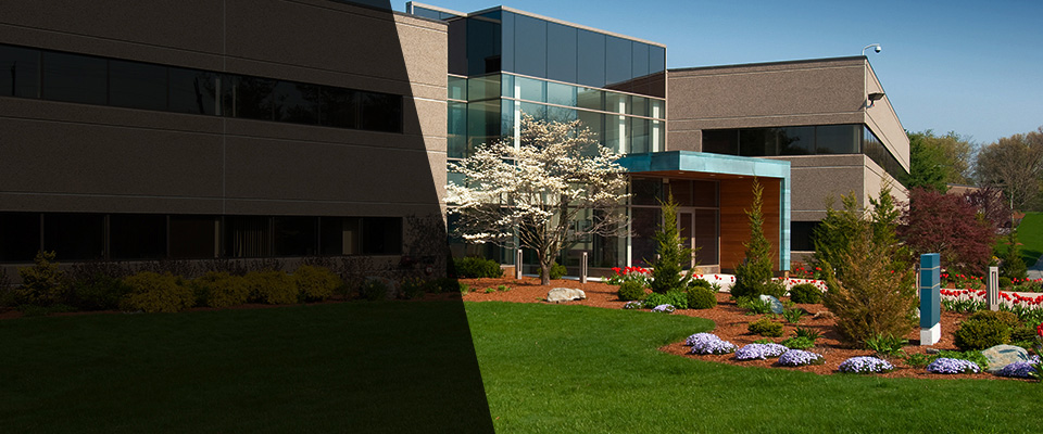 Wharton Landscapers