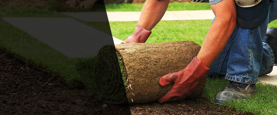 Wharton Landscapers